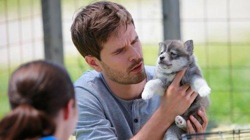 Heartland Season 8 Episode 5 - Endings and Beginnings