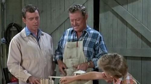 Mayberry R.F.D. Season 3 Episode 14 - Mike's Project