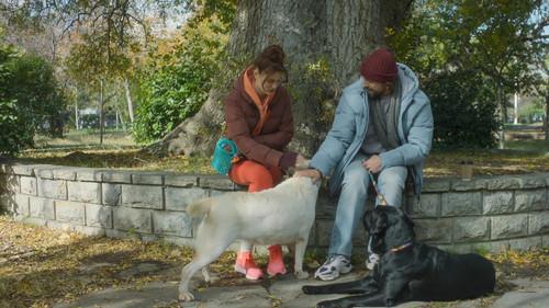 Thank You, Next Season 3 Episode 6 - Episode 6