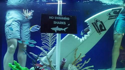 Tanked Season 1 Episode 6 - Tricks of the Trade