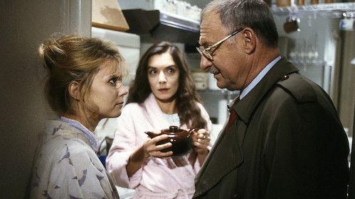 Der Alte Season 13 Episode 1 - Episode 1