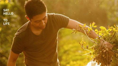 Hello Life Season 1 Episode 1 - Episode 1