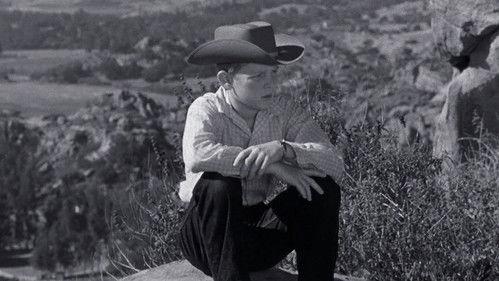 The Adventures of Spin and Marty Season 1 Episode 9 - Logan's Lesson