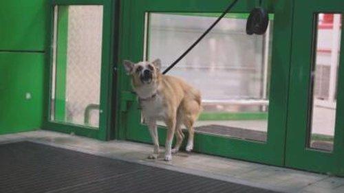 Customer Wars Season 3 Episode 11 - Suds and Spats