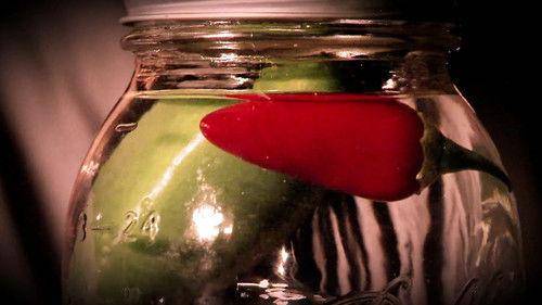 Moonshiners Season 5 Episode 13 - Shine 'Til You Drop