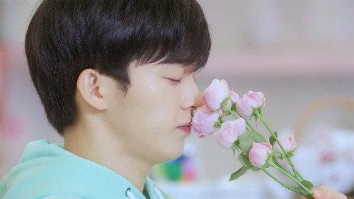 Cherry Blossoms After Winter Season 1 Episode 1 - Hidden Feelings