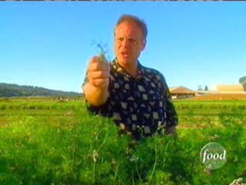 Good Eats Season 7 Episode 13 - Herbal Preservation