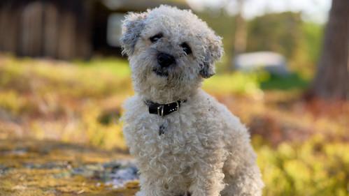 From bully to best friend Season 3 Episode 1 - Need help