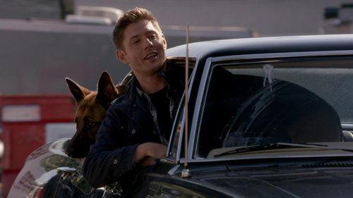 undefined Season 9 Episode 5 - Dog Dean Afternoon