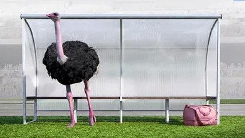 Athleticus Season 1 Episode 5 - Episode 5