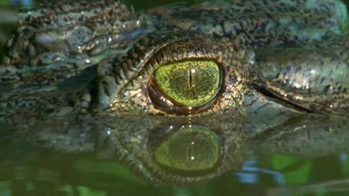 Race of life Season 1 Episode 1 - Survival Of The Fittest