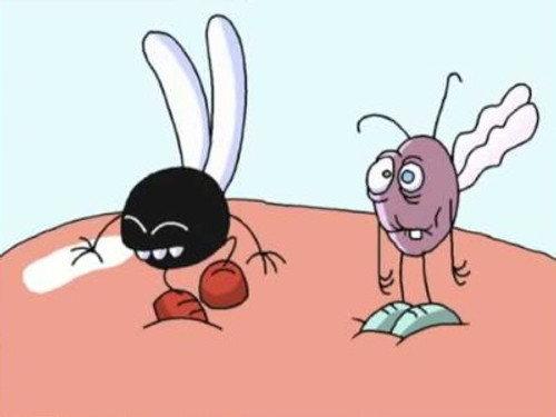 Fly Tales Season 1 Episode 14 - Superfeast at the Supermarket