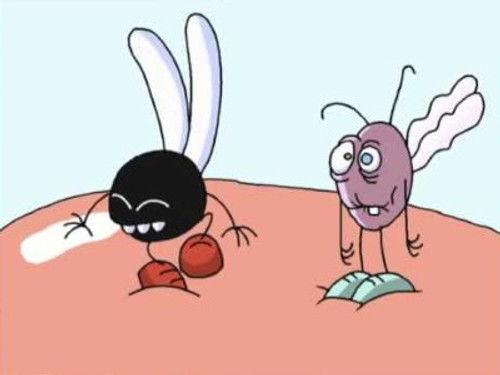 Fly Tales Season 1 Episode 14 - Superfeast at the Supermarket