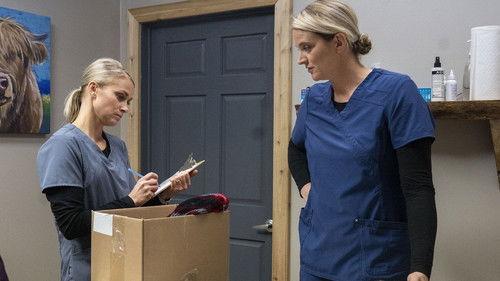 Background image for Heartland Shellebration