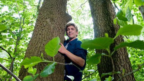 Löwenzahn Season 30 Episode 1 - Episode 1