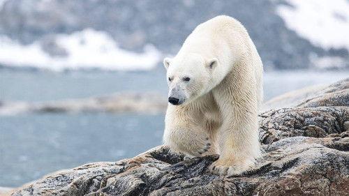 Wild Scandinavia Season 1 Episode 3 - Ice and Fire