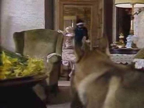 Background image for The Genesis Tapes (1)