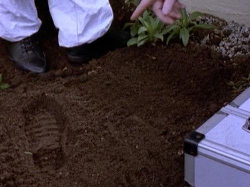 Wycliffe Season 3 Episode 5 - Crazy for You