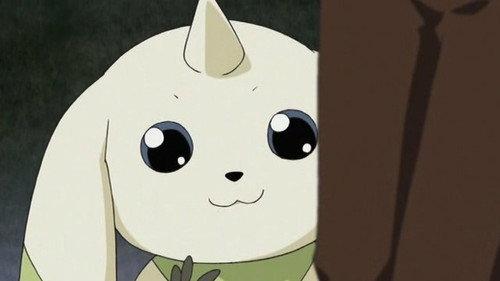 Digimon Tamers Season 1 Episode 2 - Digimon, Digimon Everywhere