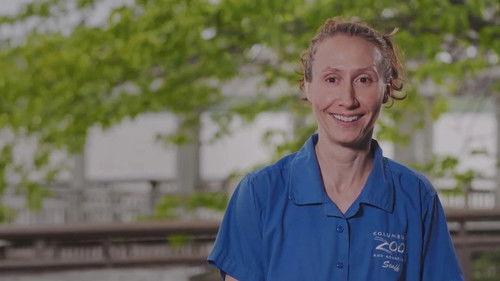 Background image for Flock of Flamingoes