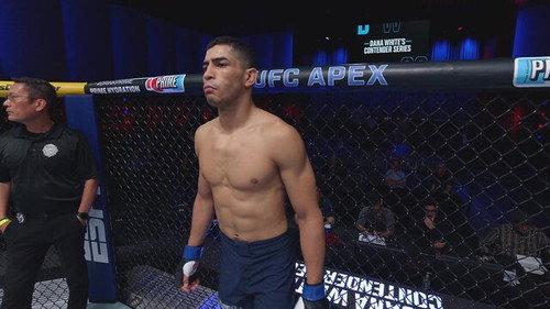 Dana White's Contender Series Season 9 Episode 2 - Week 2