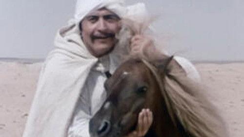 Poly Season 9 Episode 1 - Episode 1