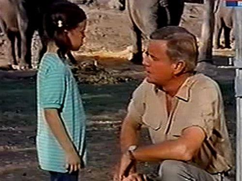 Daktari Season 4 Episode 8 - The Runaways