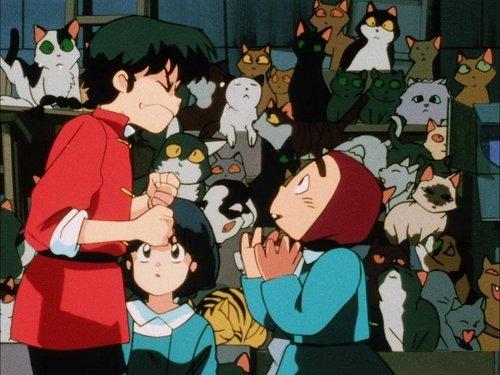 Ranma ½ Season 1 Episode 20 - You Really Do Hate Cats!