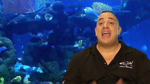 Tanked Season 7 Episode 3 - Sherri Shepard on the Rocks