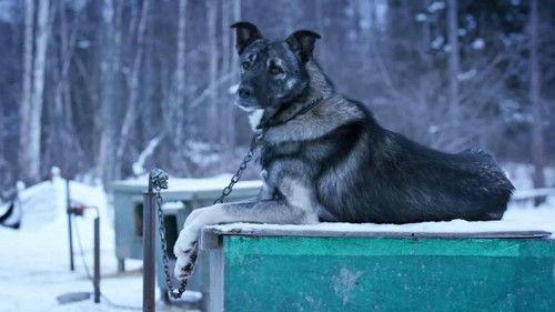 Life Below Zero Season 13 Episode 6 - Best-Laid Plans