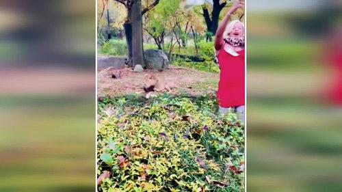 My Strange Arrest Season 1 Episode 4 - Lion Lady