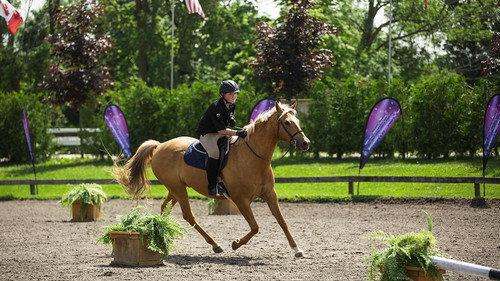 All-Round Champion Season 1 Episode 3 - Equestrian