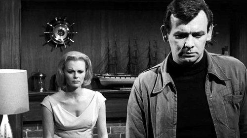 The Fugitive Season 1 Episode 29 - Storm Center