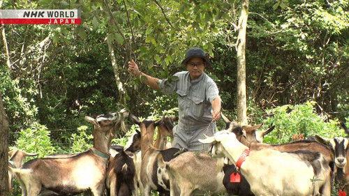 FRONTRUNNERS Season 4 Episode 1 - Cheesemaker and Dairy Farmer: Matsubara Masanori