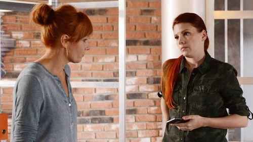 Komisarz Alex Season 10 Episode 13 - Episode 13