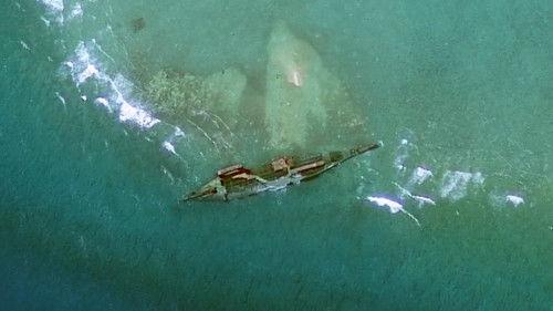 What on Earth? Season 5 Episode 8 - Blood in the Garden of Eden