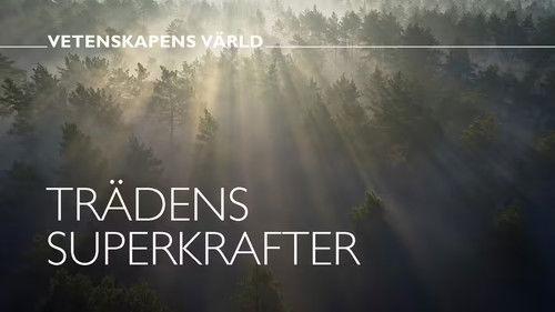 Vetenskapens värld Season 49 Episode 13 - Episode 13