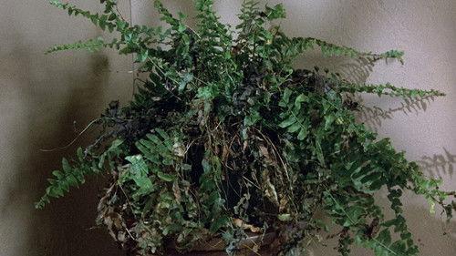 Hart to Hart Season 2 Episode 19 - Murder Takes A Bow