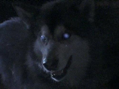 Are You Afraid of the Dark? Season 6 Episode 7 - The Tale of the Hunted