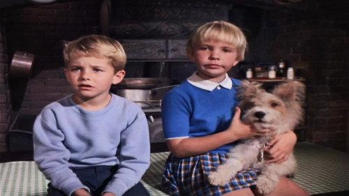 The Ghost & Mrs. Muir Season 1 Episode 12 - Madeira, My Dear?