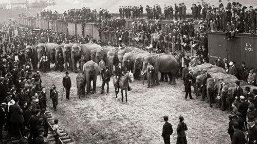 American Experience Season 30 Episode 7 - The Circus (1)