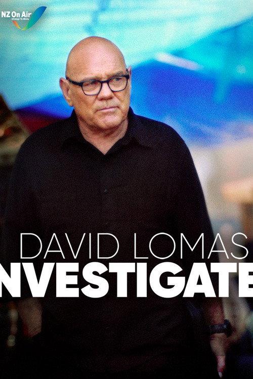 David Lomas Investigates poster