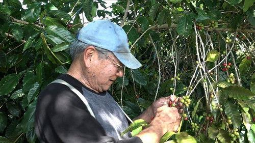 Shin Nihon Fudoki Season 8 Episode 13 - Episode 13