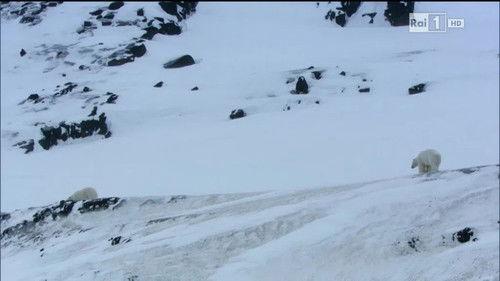 Superquark Season 21 Episode 7 - Episode 7