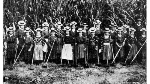 Shin Nihon Fudoki Season 8 Episode 12 - Episode 12