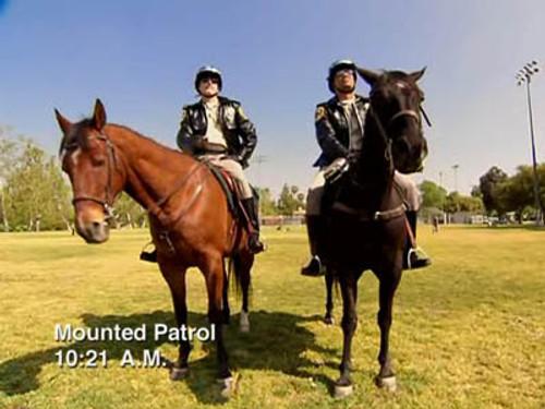 Reno 911! Season 4 Episode 11 - Reno Mounties