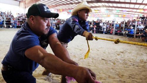 POV Season 36 Episode 8 - Bulls and Saints