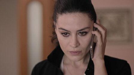 Background image for Episode 14