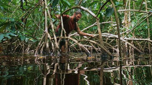Primal Survivor: Escape the Amazon Season 1 Episode 5 - Mangrove Maze