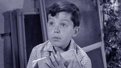 Leave It to Beaver Season 2 Episode 39 - Most Interesting Character